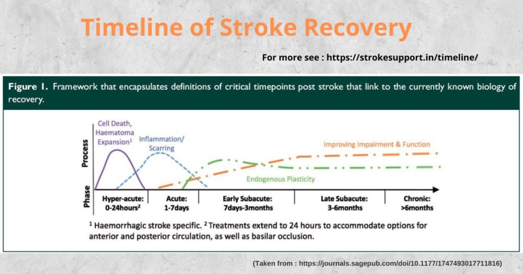 Timeline And Phases Of Stroke Recovery - Hyperacute? Chronic ? Act ...